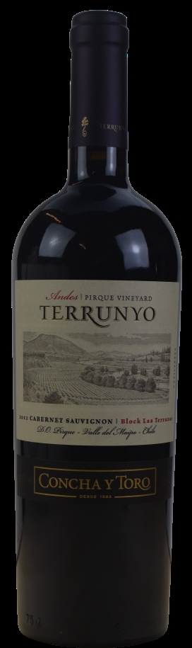 Terrunyo Pirque Vineyards Cabernet Sauvignon 2011 75cl